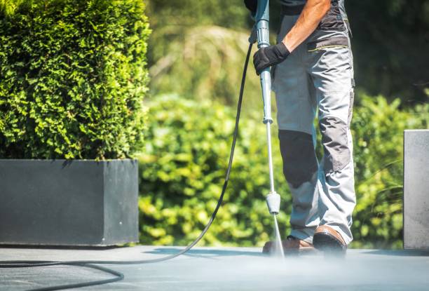 Animal Enclosure Cleaning in Marion, VA