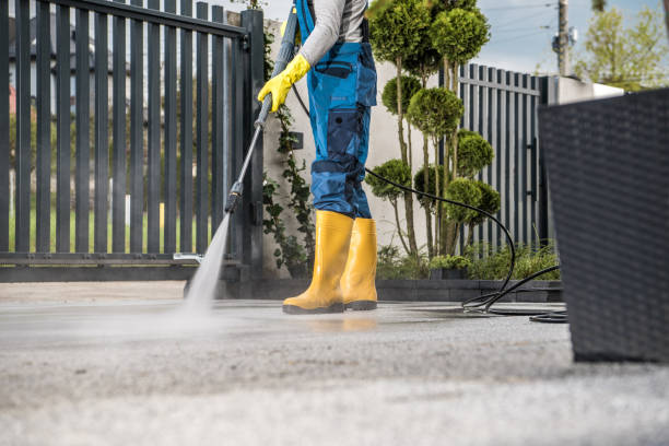 Best Soft Washing  in Marion, VA